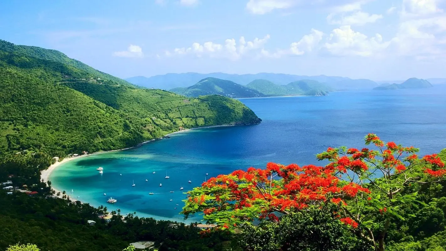 自动化可靠性无人化